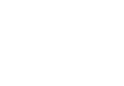 That Web Look Logo White