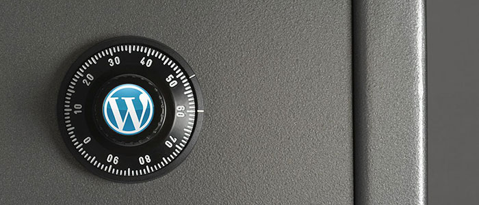 WordPress Website Security